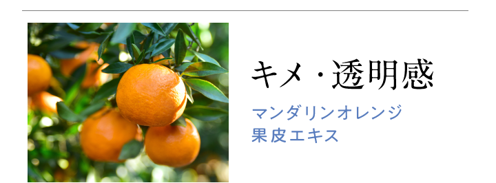 「キメ・透明感」マンダリン　オレンジ果実エキス